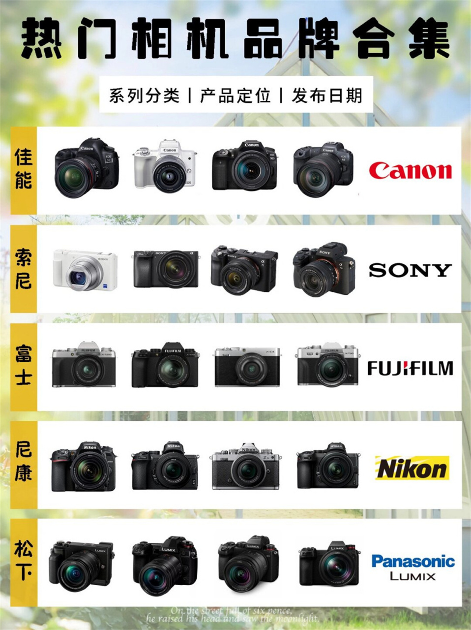 今天,我们将为大家详细介绍佳能,富士,索尼,尼康和