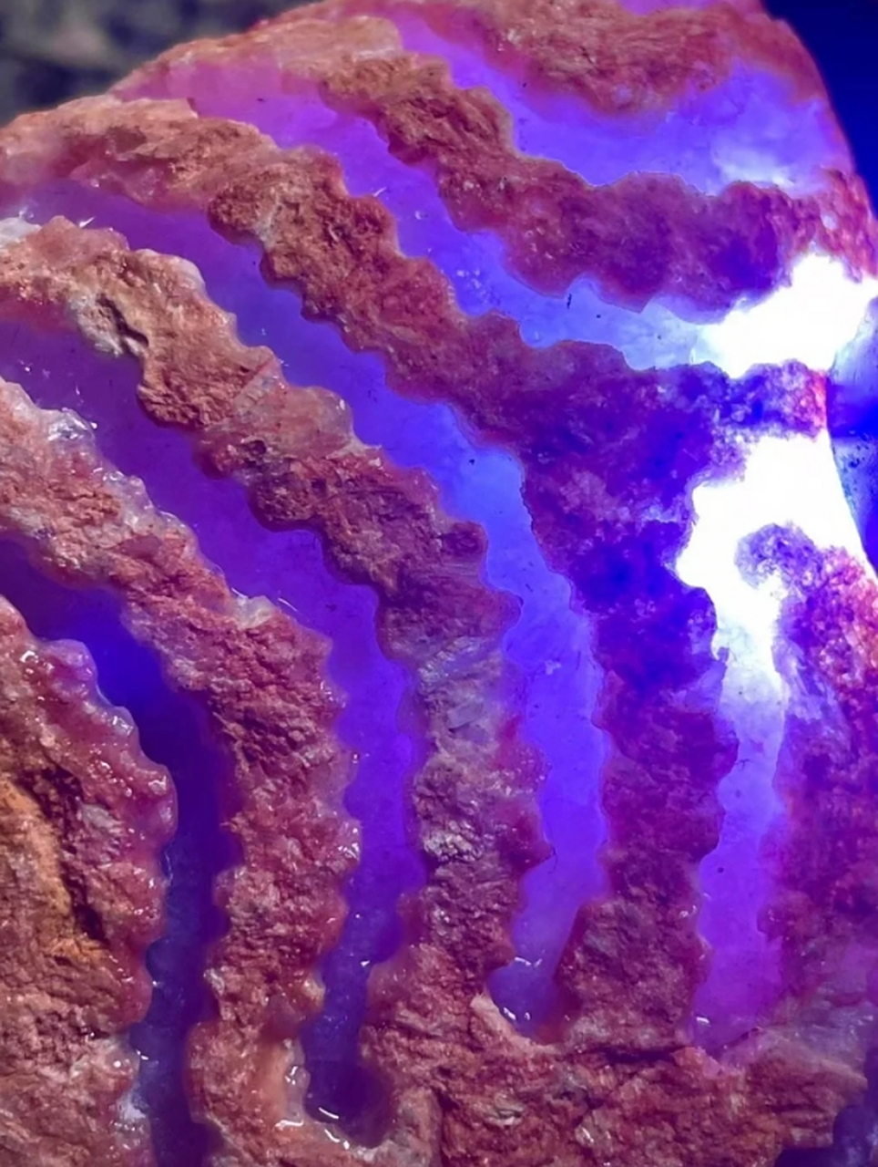 15公斤老木那紫罗兰飘花开窗,冰冰紫紫的料子,木那至紫料一枚,荧光感