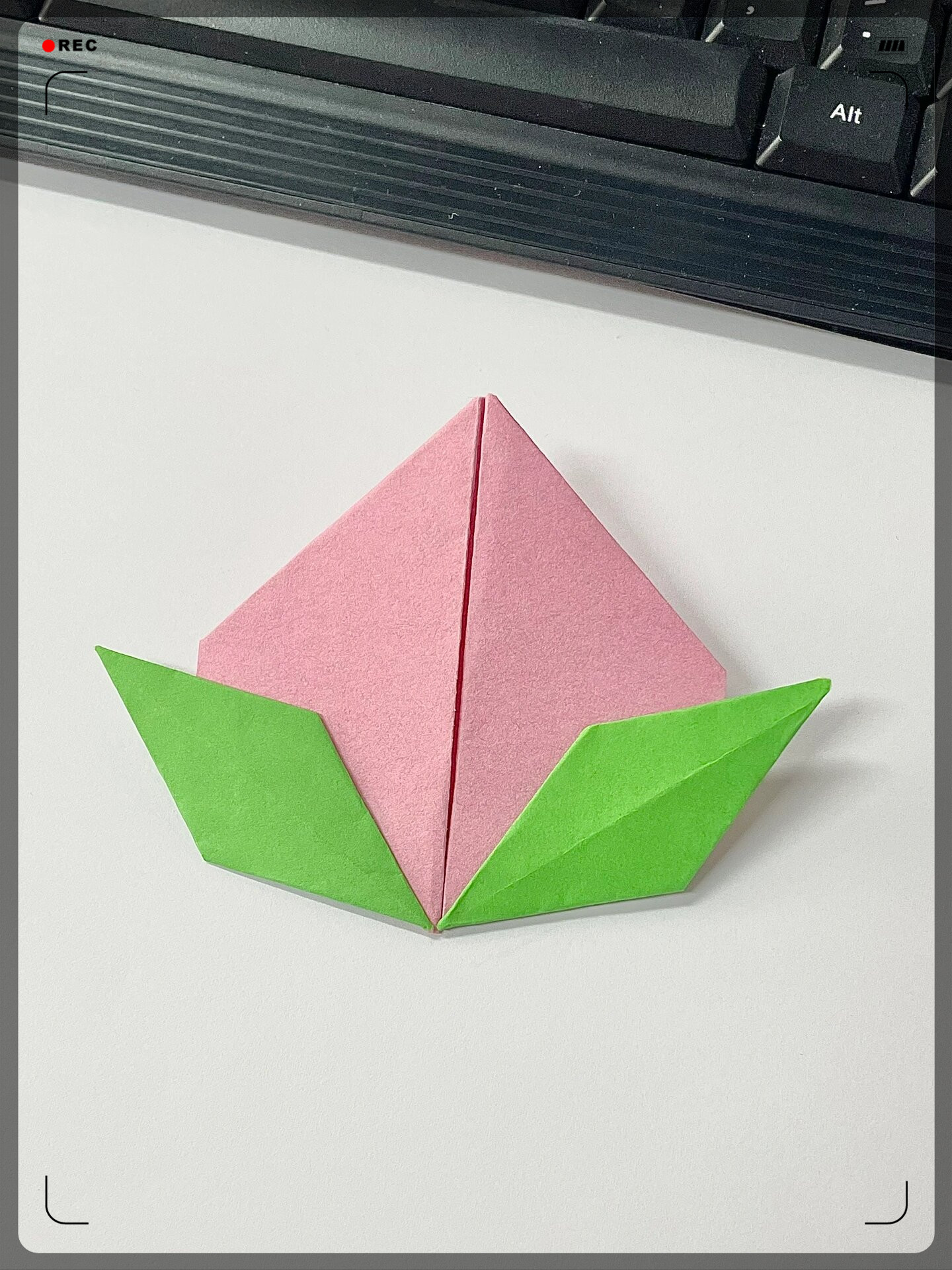 嘿!亲爱的小伙伴们,今天给大家带来一份超简单的桃子折纸教程!