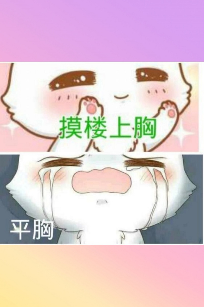 你们手机相册里是不是藏着一些超级搞笑的表情包啊?