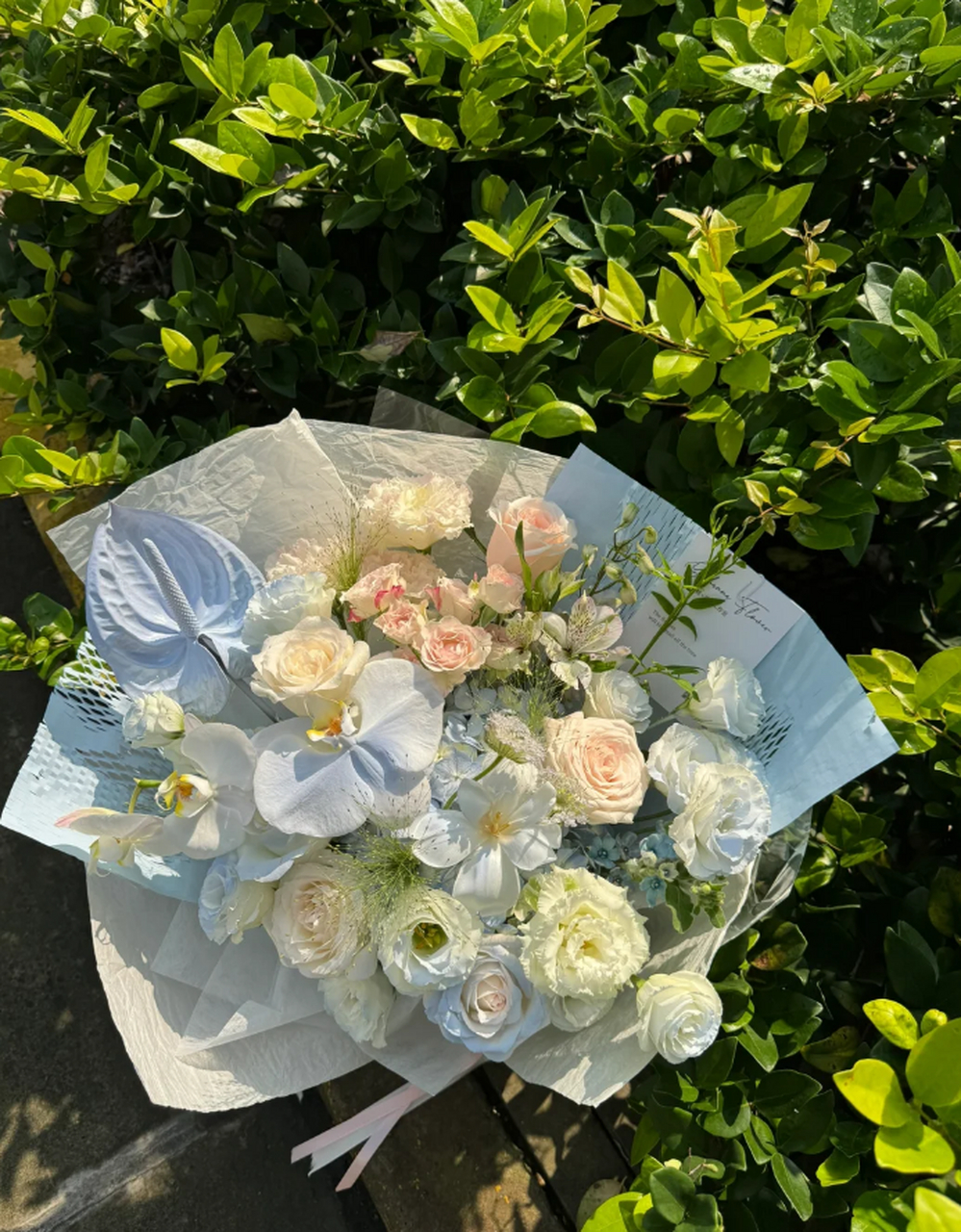 蓝粉色鲜花花束:清新之恋的浪漫呈现 蓝粉色,是一种淡雅而浪漫的色调