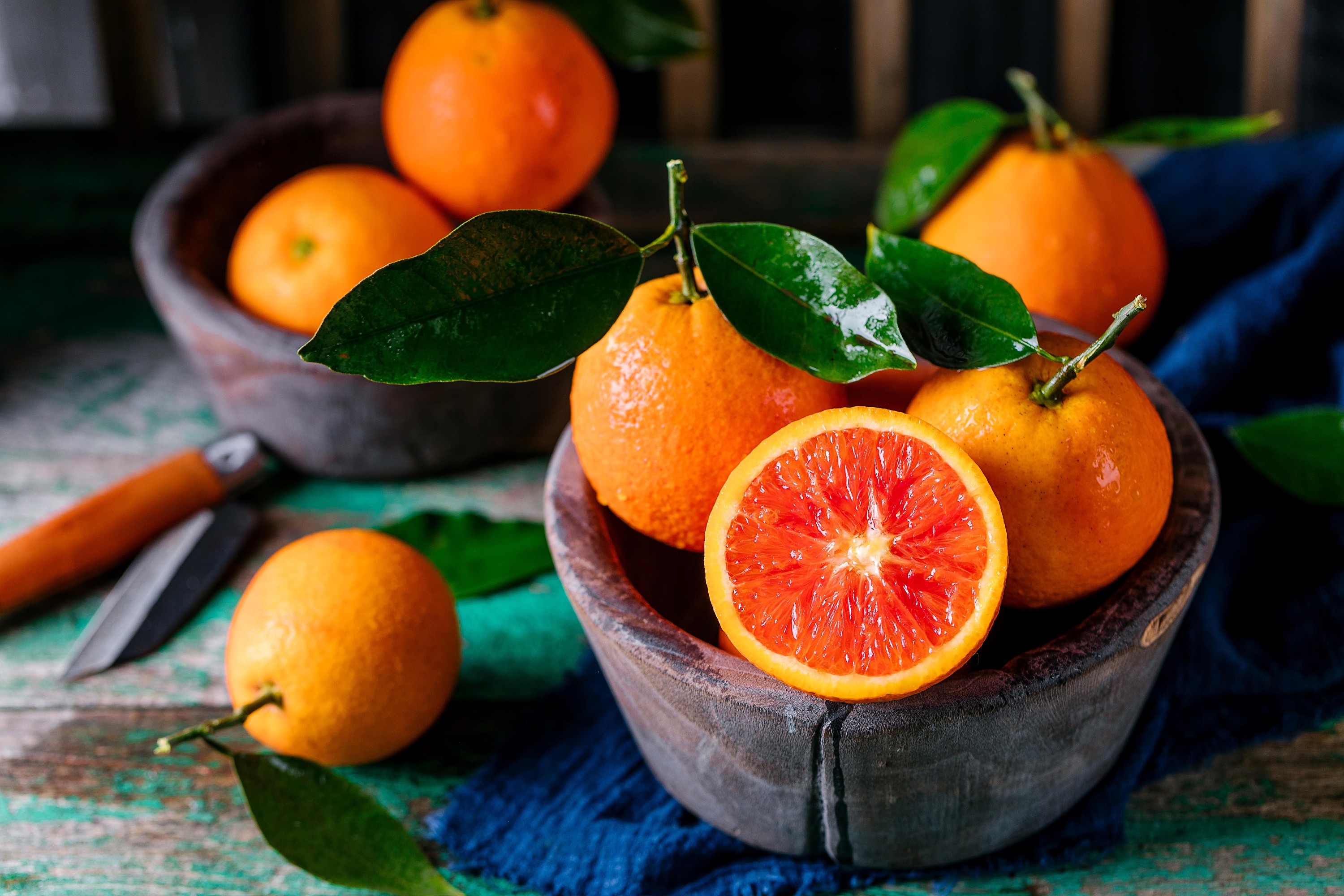 在寒冷的冬天里,为什么要选择享用.@小七犬舍的动态