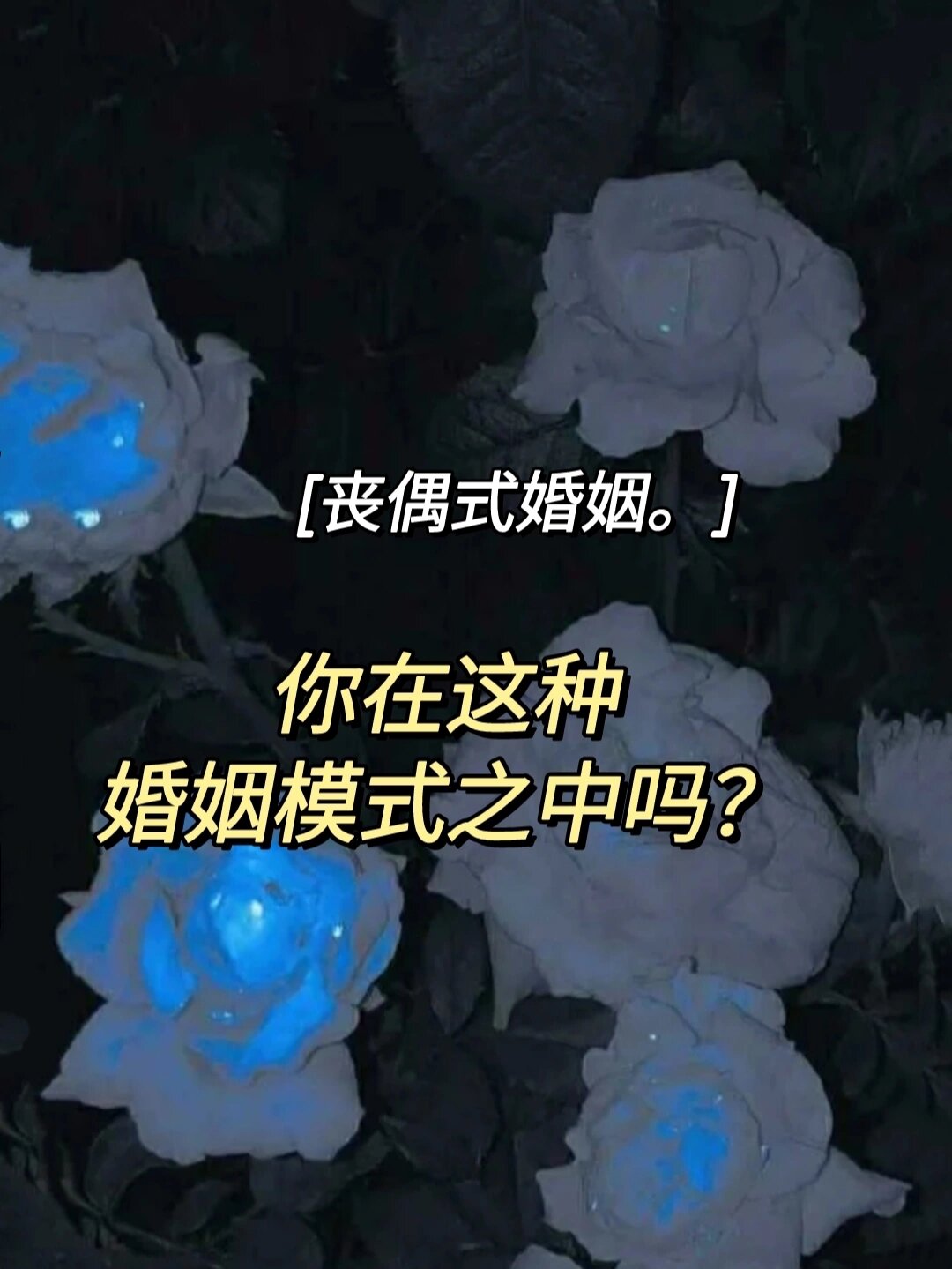 丧偶式婚姻图片与文字图片