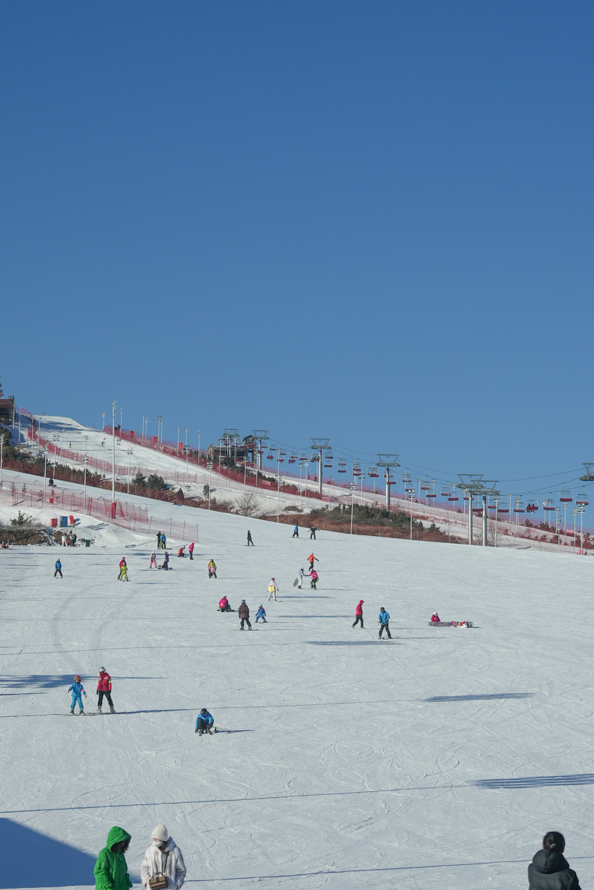 滑雪场的最高海拔约1240米,垂直落差有125米,还有18条雪道(前山9条