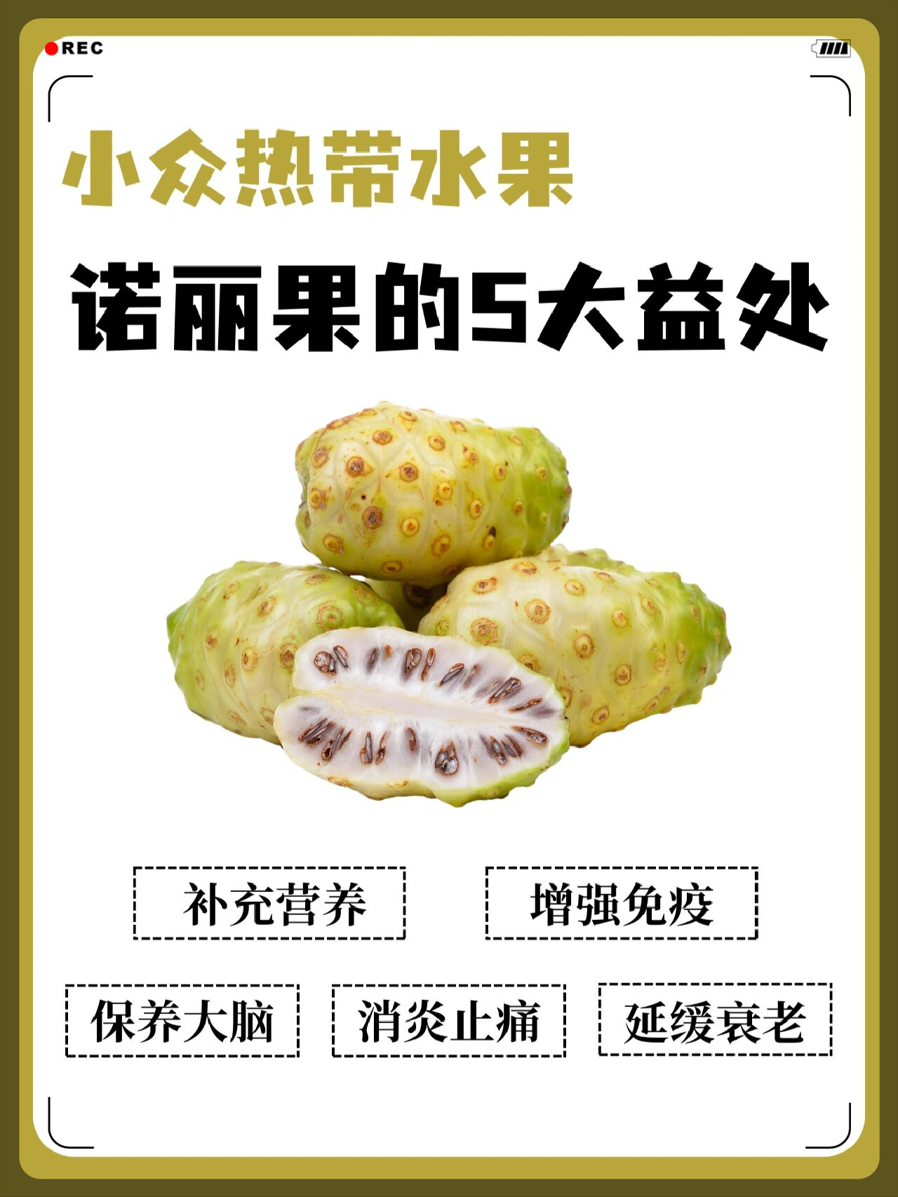 不会腐烂的水果诺丽果  诺丽果,又叫海巴戟,是海滨木巴戟的果实.