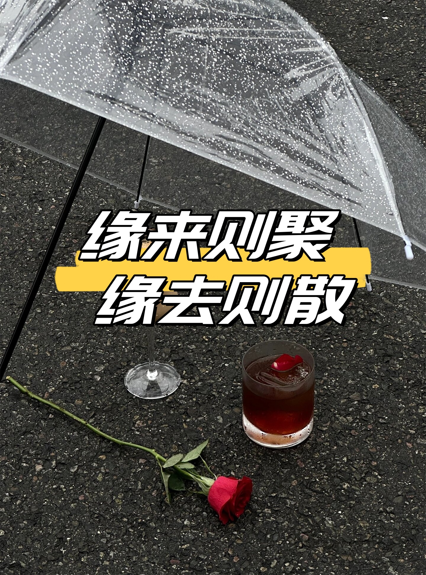 缘来则聚 缘去则散