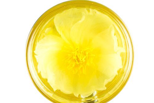 丹凤牡丹花,又称为洛阳牡丹,是中国珍贵花卉,具有极高的观赏价值,丰富