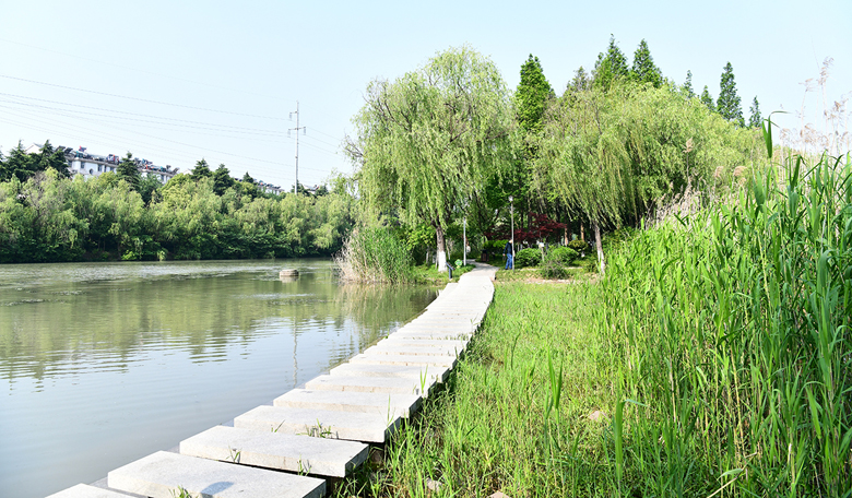 宝应北河公园,一切美景皆有可能