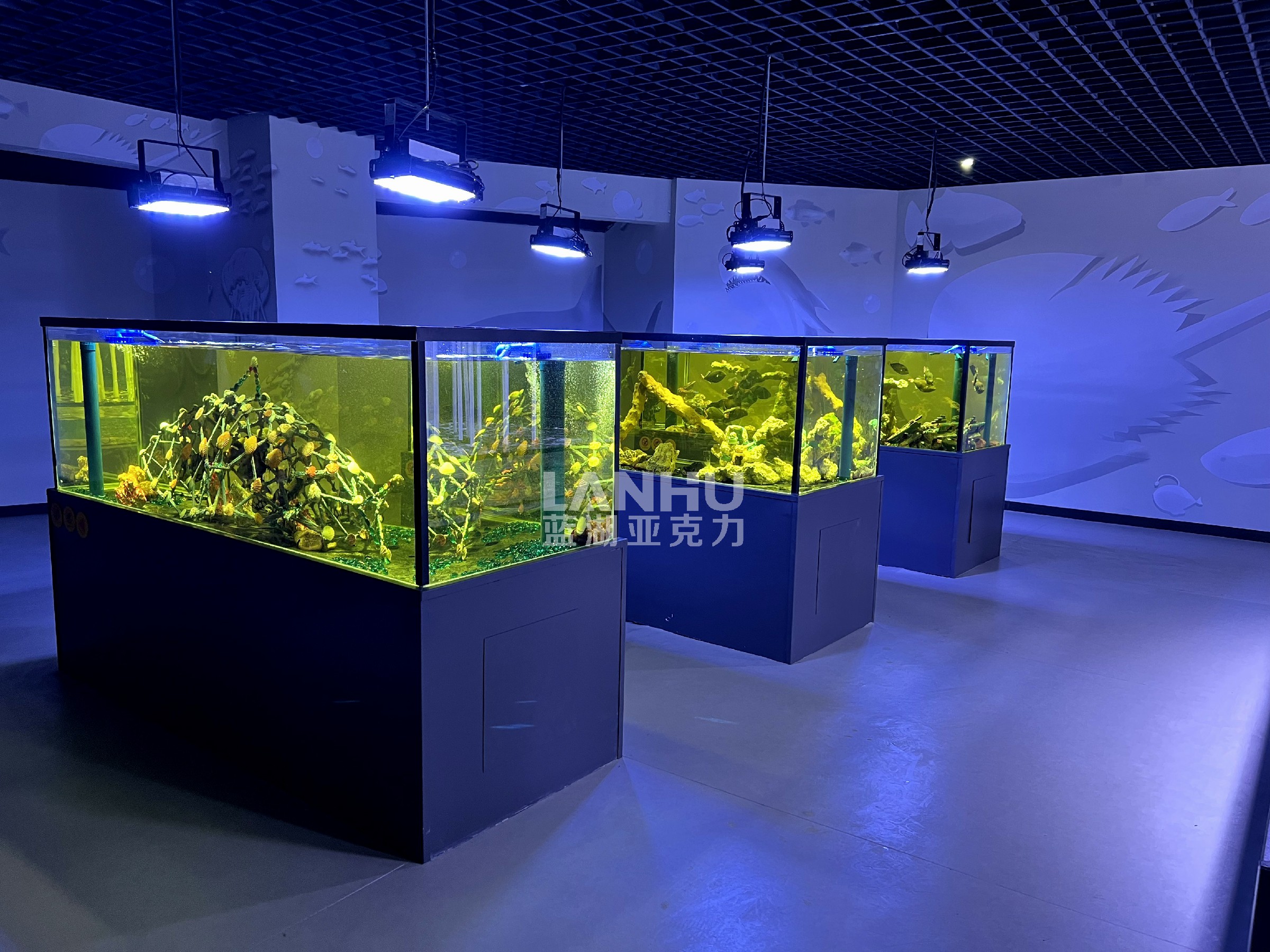 异形亚克力鱼缸,独特之美与个性化设计