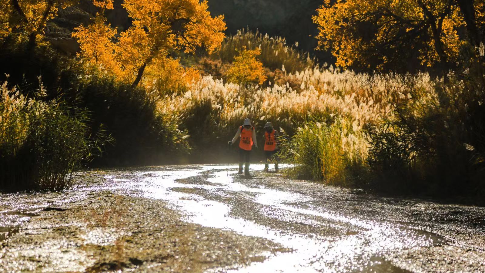 逐西敦煌戈壁徒步108公里,穿越千年历史的壮丽之旅