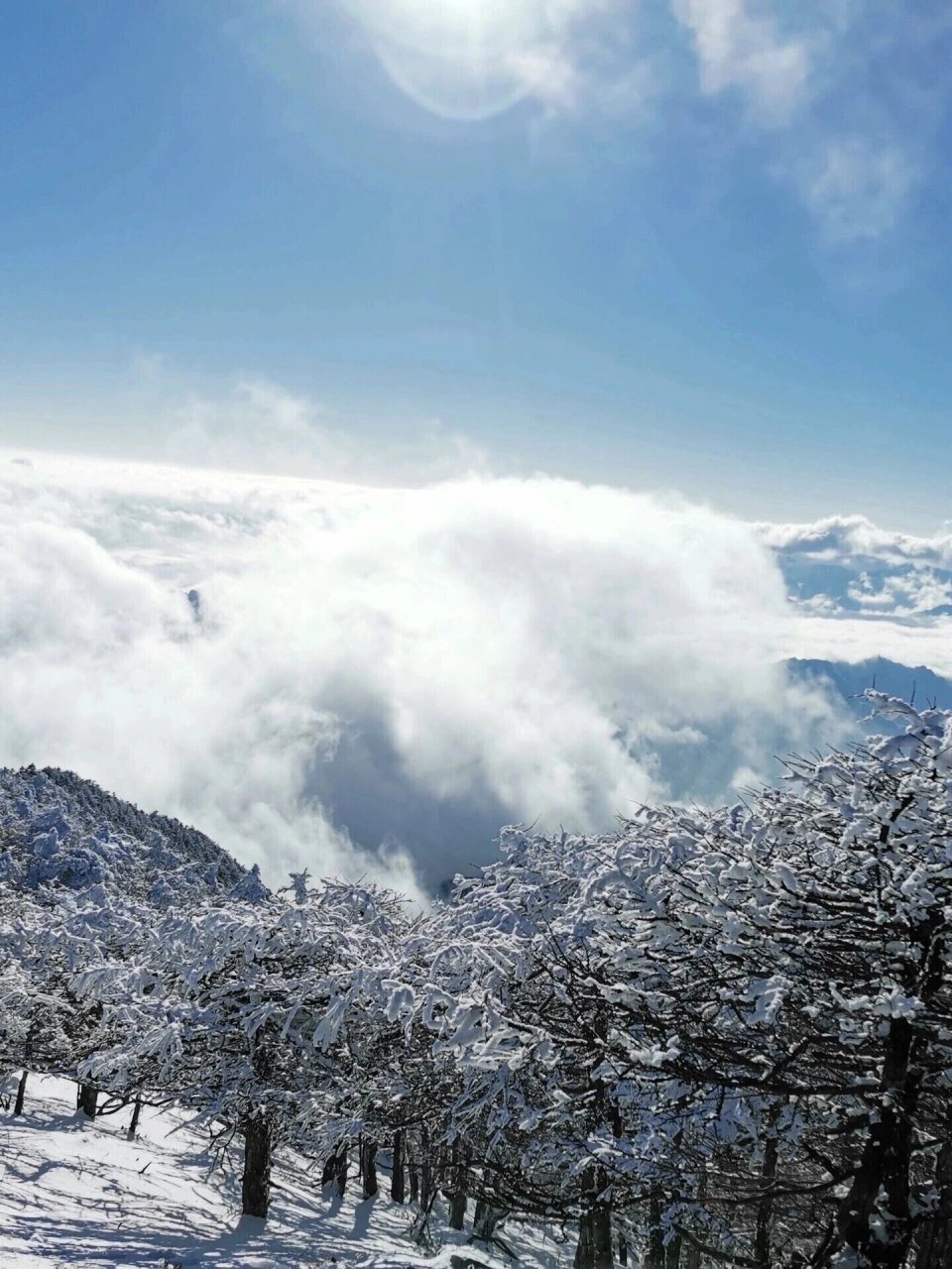 高山晶莹雪图片