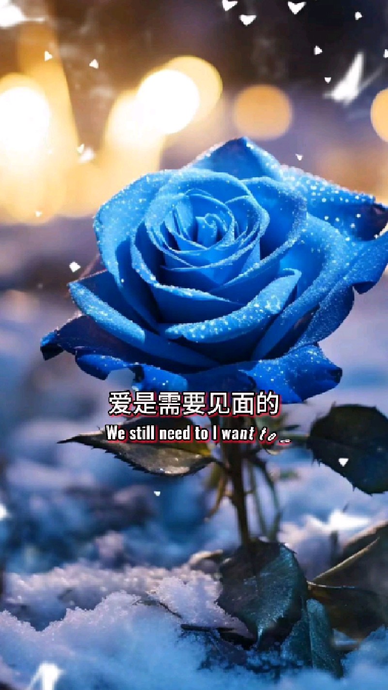 爱是需要见面的,隔着屏幕说在多我爱你我想你.