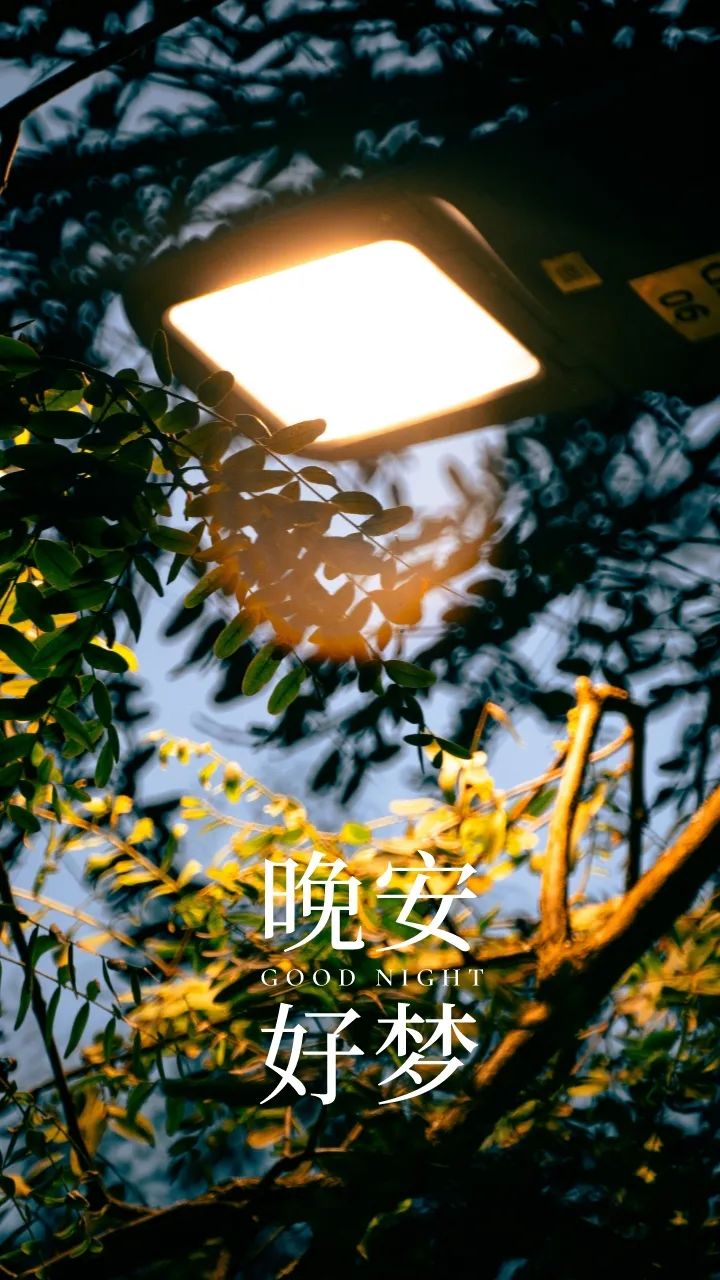 晚安心语温暖说说句子带治愈晚安图片