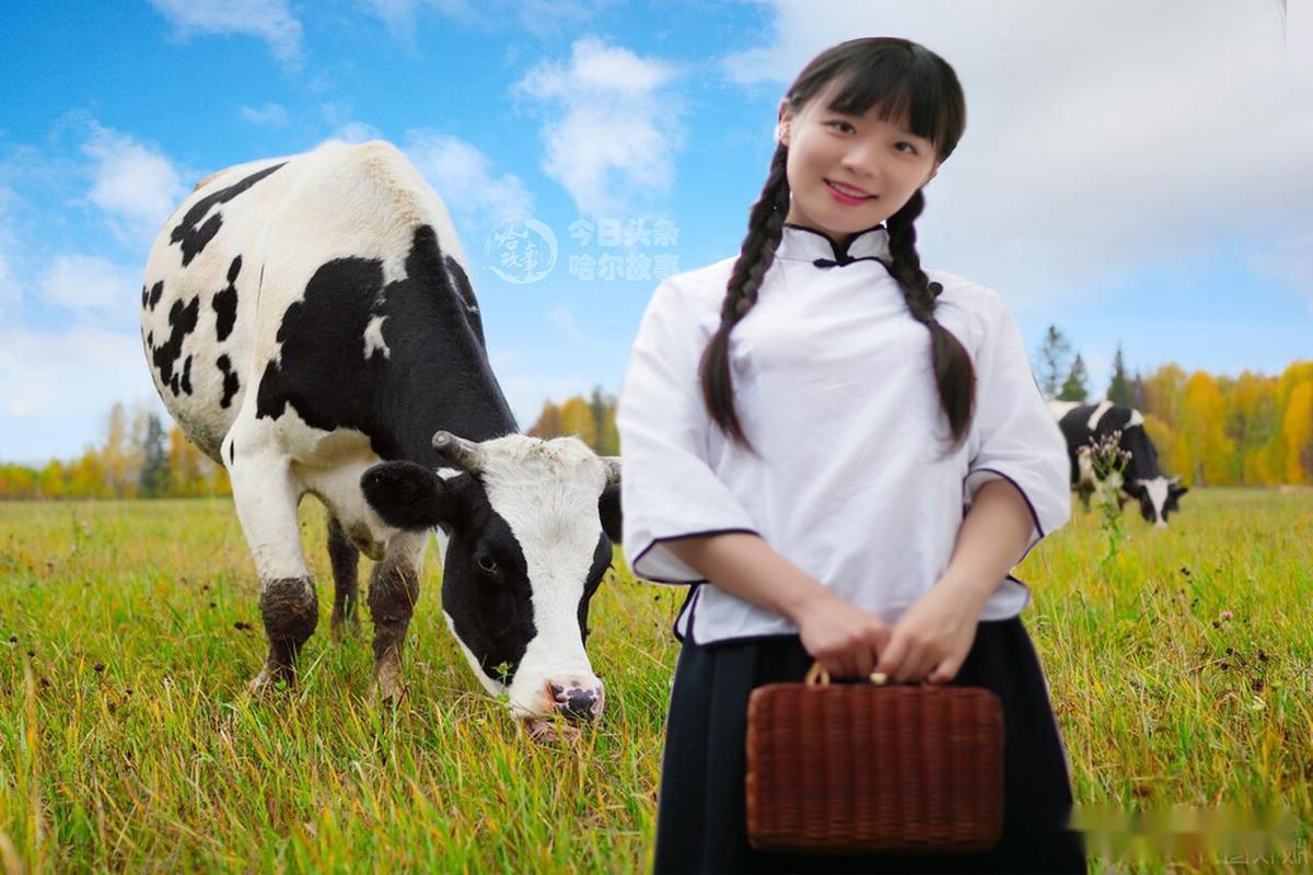 标题:幸福屯的故事