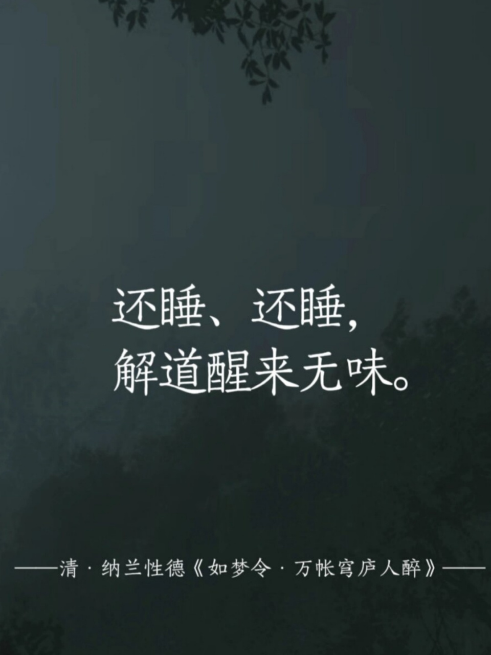 还睡,还睡,解道醒来无味 78译文 孤独的我,在无尽地饮酒中陷入沉醉