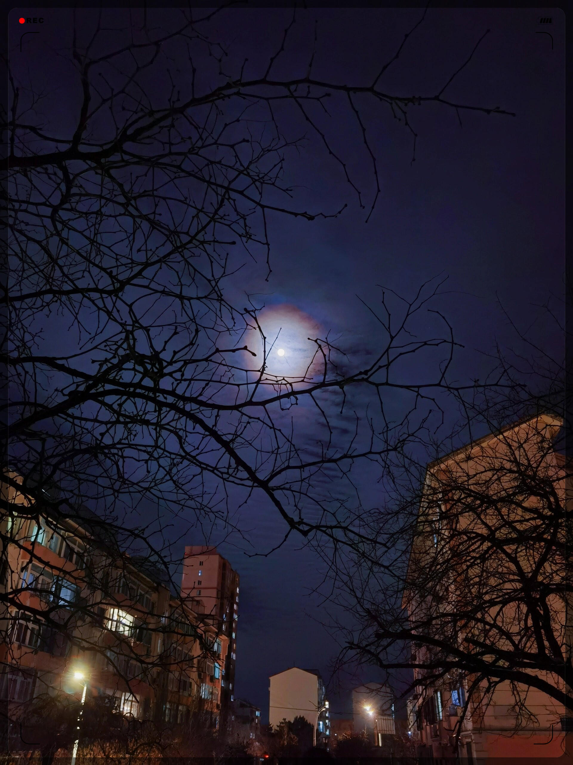 冬夜的明月    我要上热门  冬夜的明月