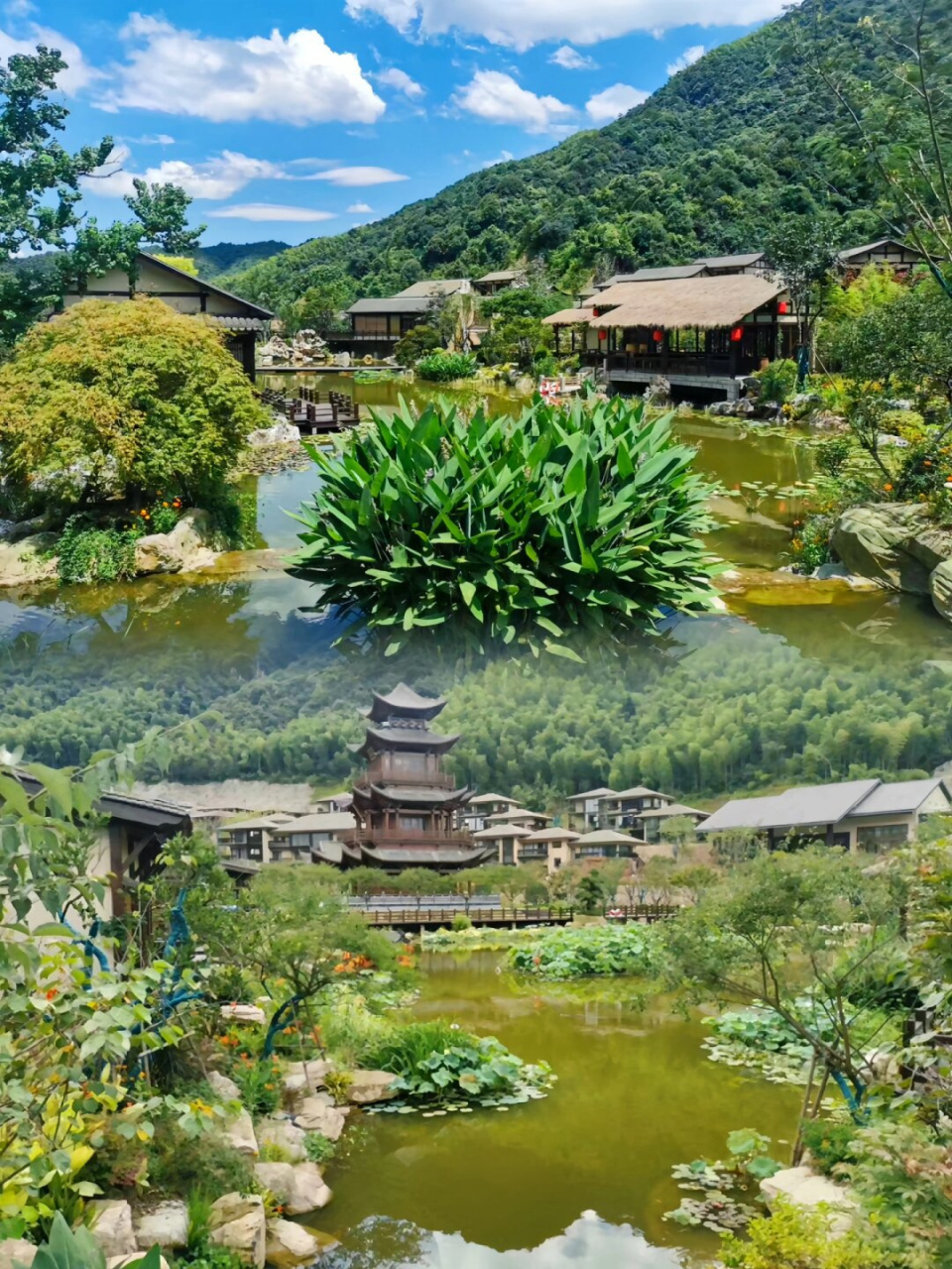 云深不知处|藏在葛仙村  葛仙村,位于江西省上饶市铅山县,是一个历史