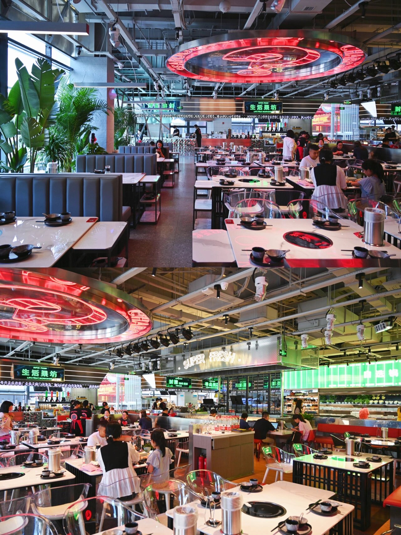 福州探店丨潮流科技感海鲜火锅 作为超级物种的老粉丝 超级物种新升级