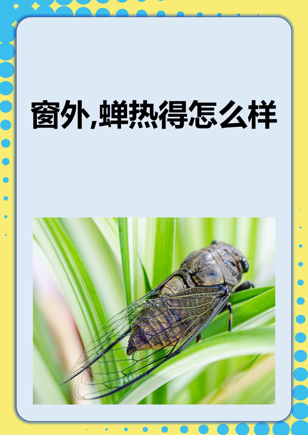 蝉为什么只能活七天为什么在线