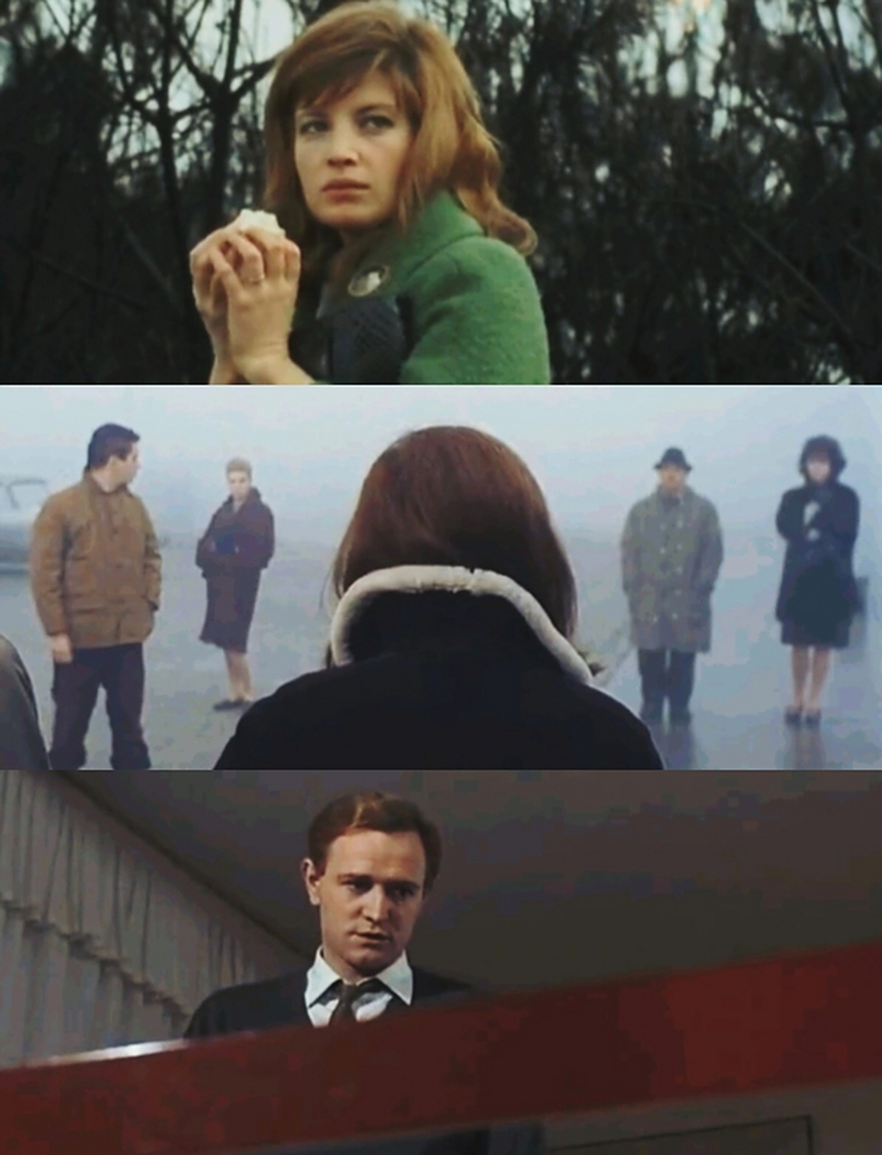 《红色沙漠》 米开朗基罗•安东尼奥尼 	 📚 真正的彩色电影