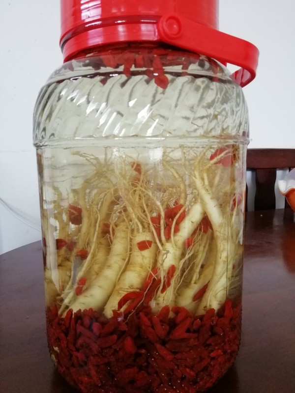 枸杞人参酒制作指南 枸杞人参酒.@大臣小视的动态