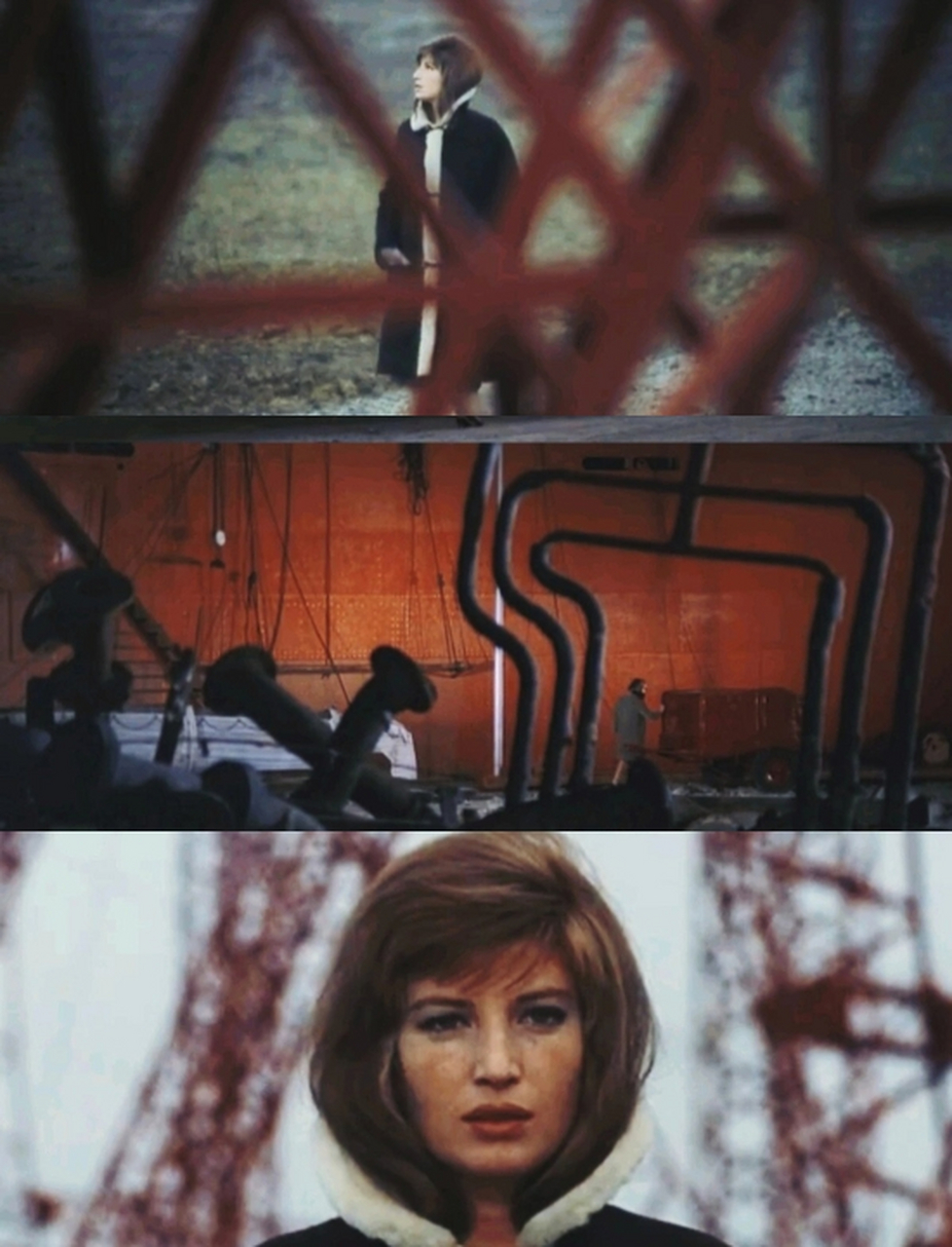 《红色沙漠》 米开朗基罗•安东尼奥尼 	 📚 真正的彩色电影