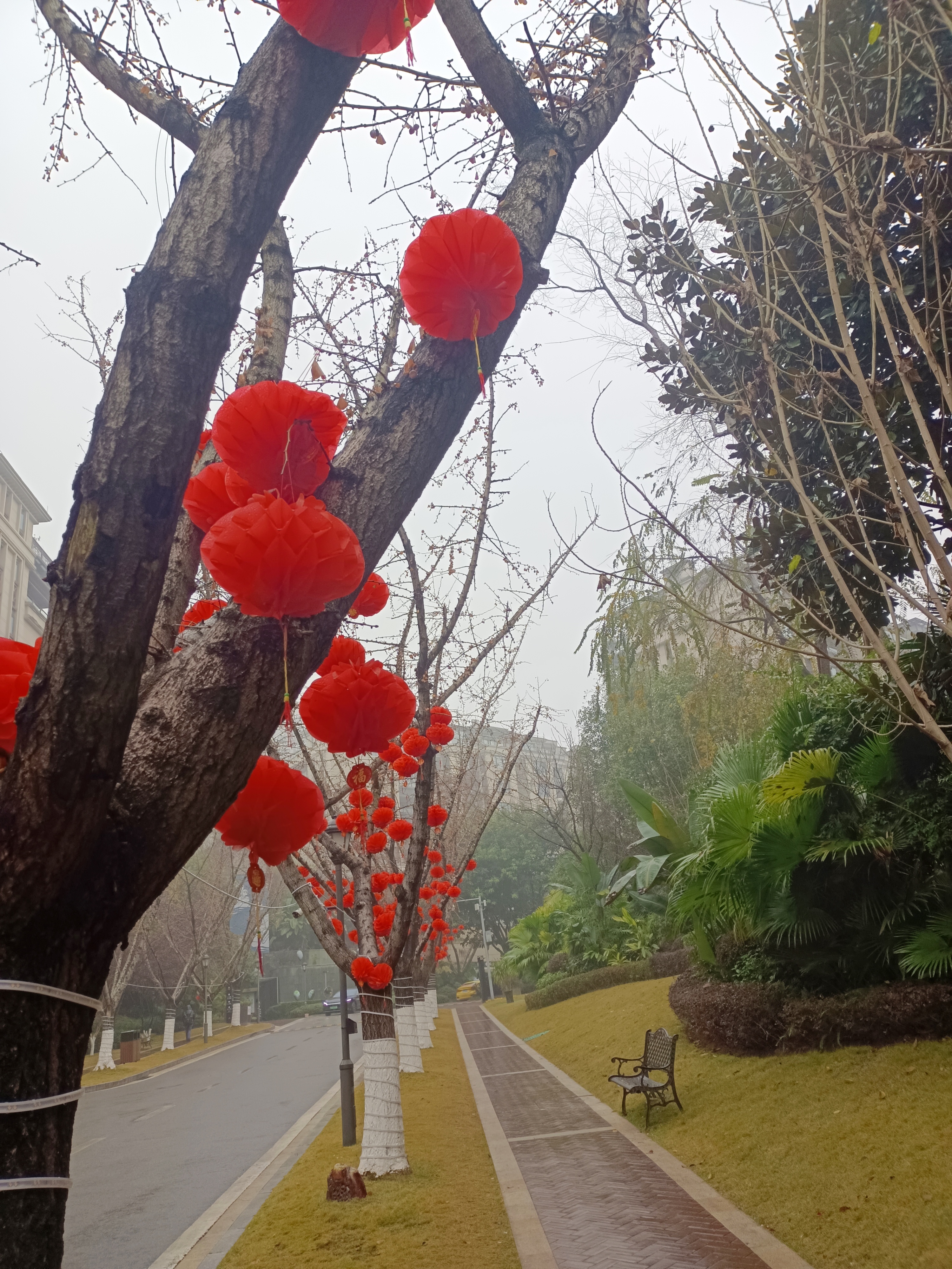 看着小区里面满树的红灯笼就感觉过年离我们越来越近了,仔细一算,离