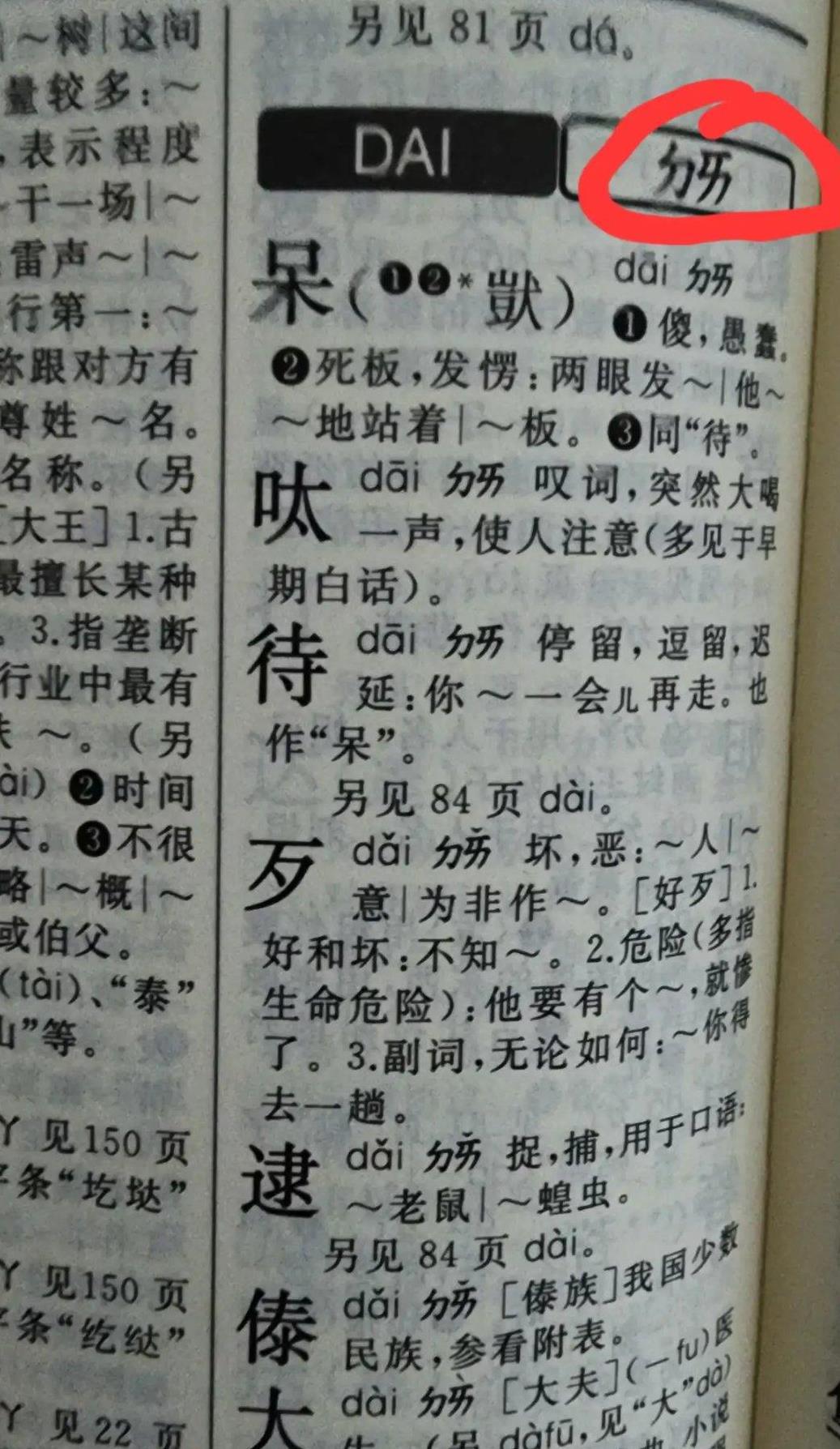最近我闲暇时翻看字典,发现了一个奇怪的现象:每个字的拼音后面都跟着