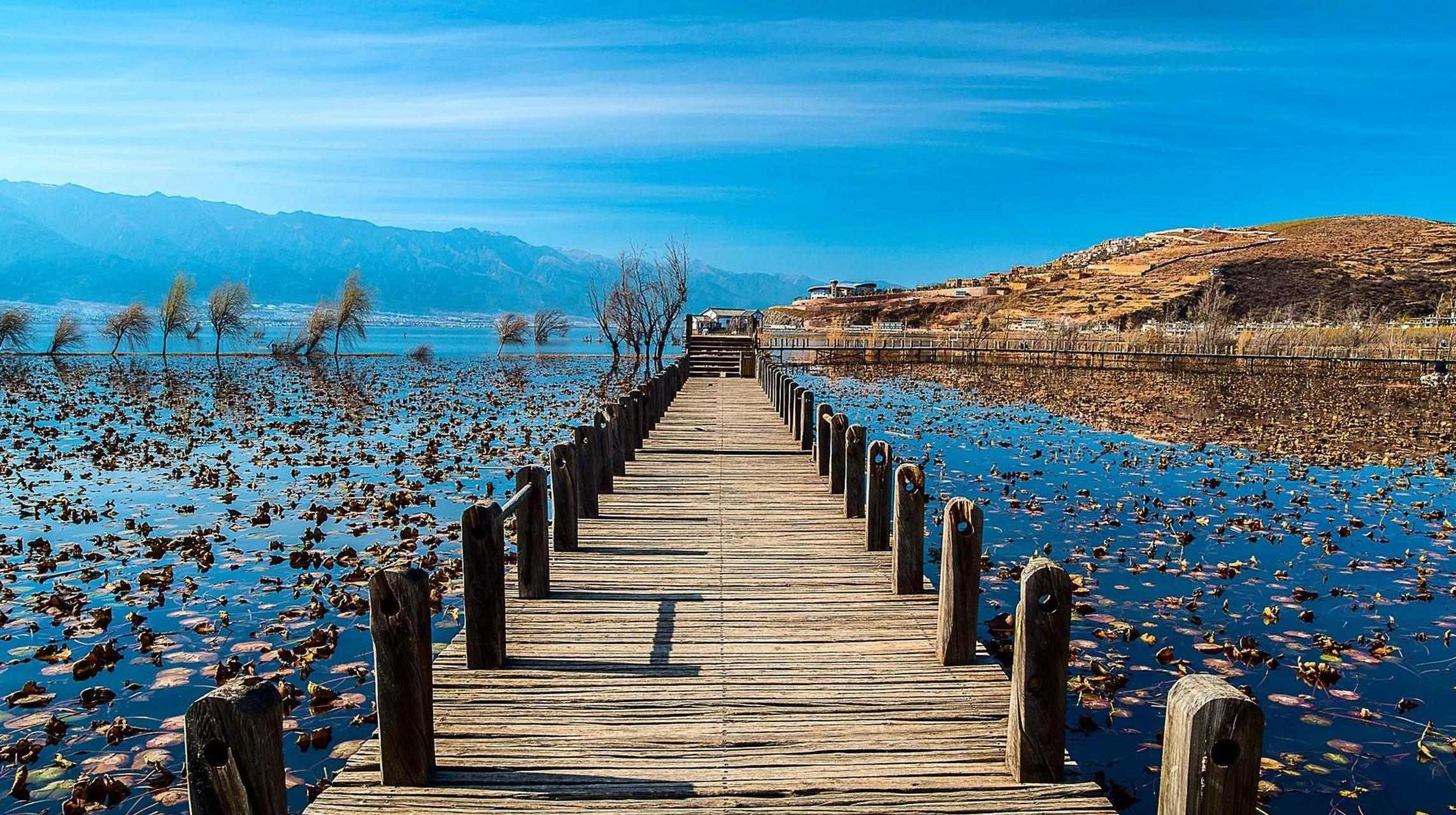 全国妈妈通用的微信昵称 一,花开富贵  二,往事随风  三,美丽人生  四