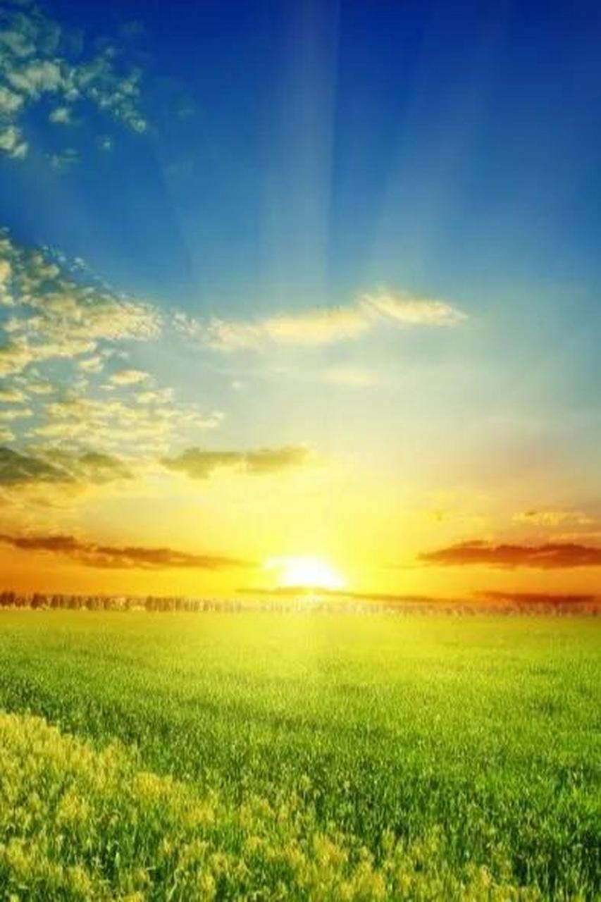 橘红色的夕阳,最美的油画一张. 温暖的闪着光