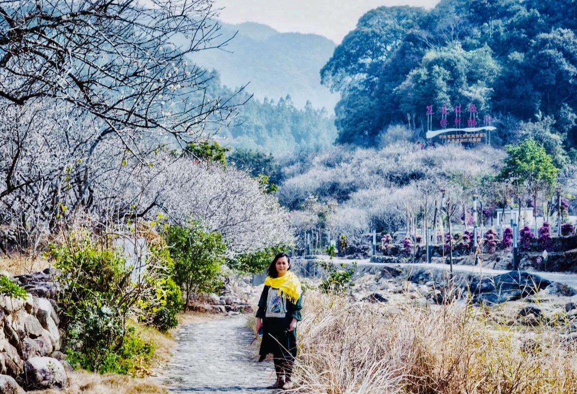 陆河梅花景色旅游区图片