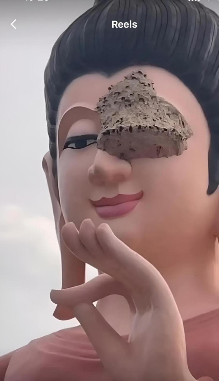 连佛都睁一眼闭一眼了!