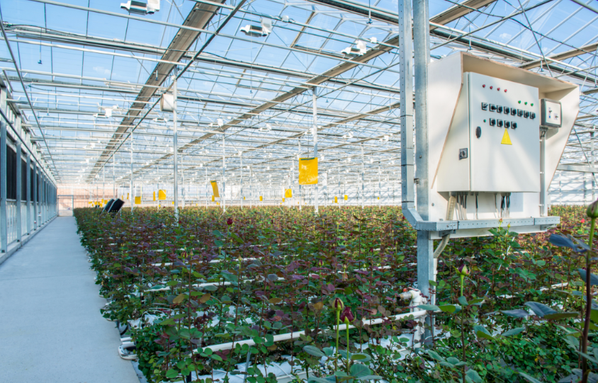 北京现代化大型连栋温室发展的回顾,现状与展望