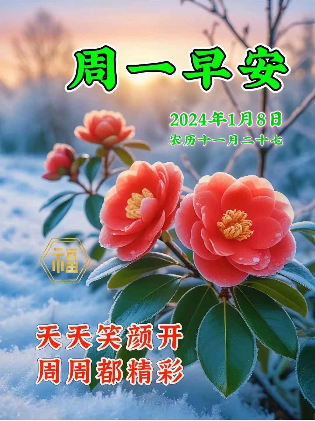 周一的晨光洒满大地,新的一周正式开启