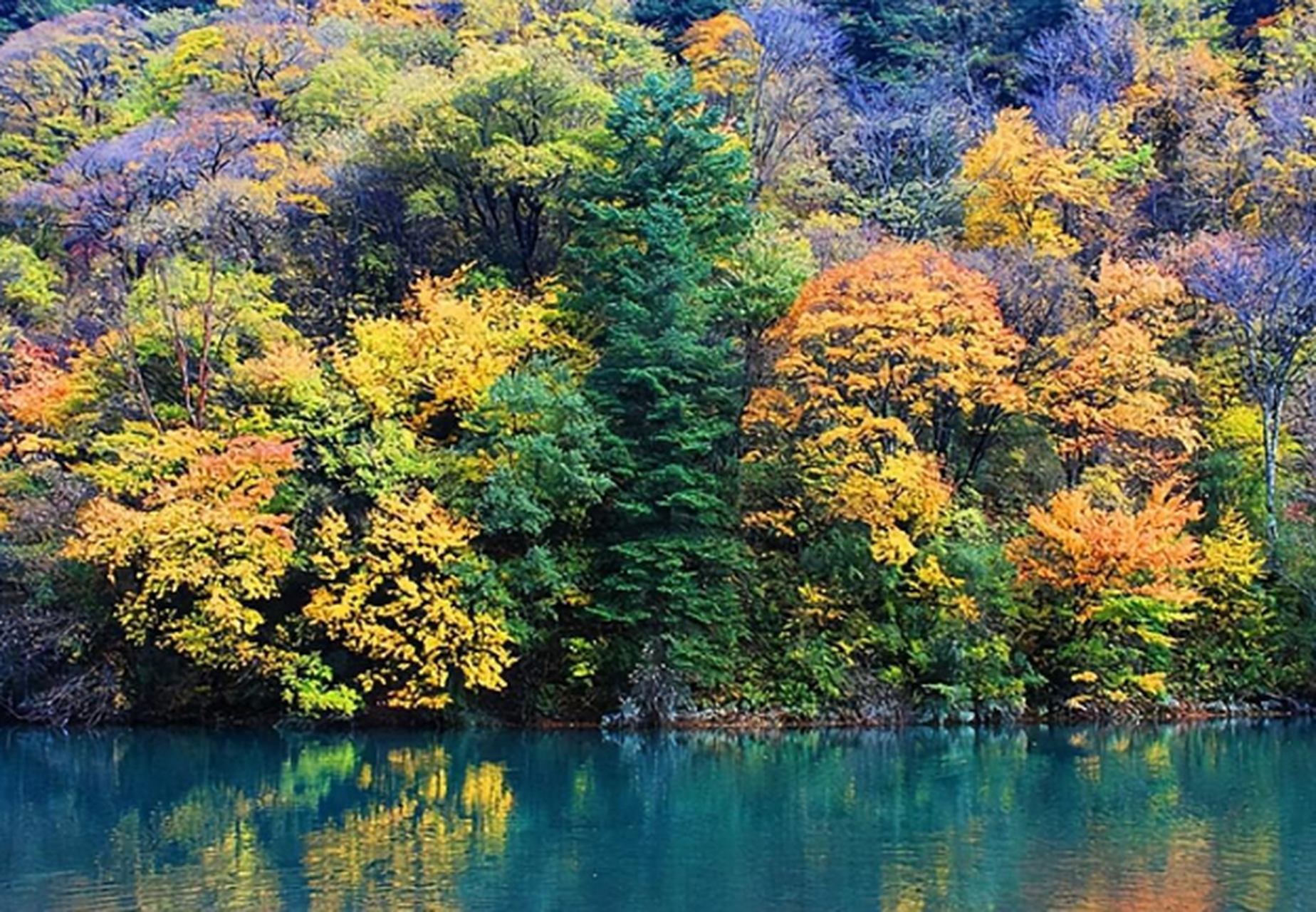 森林山水自然风光图片