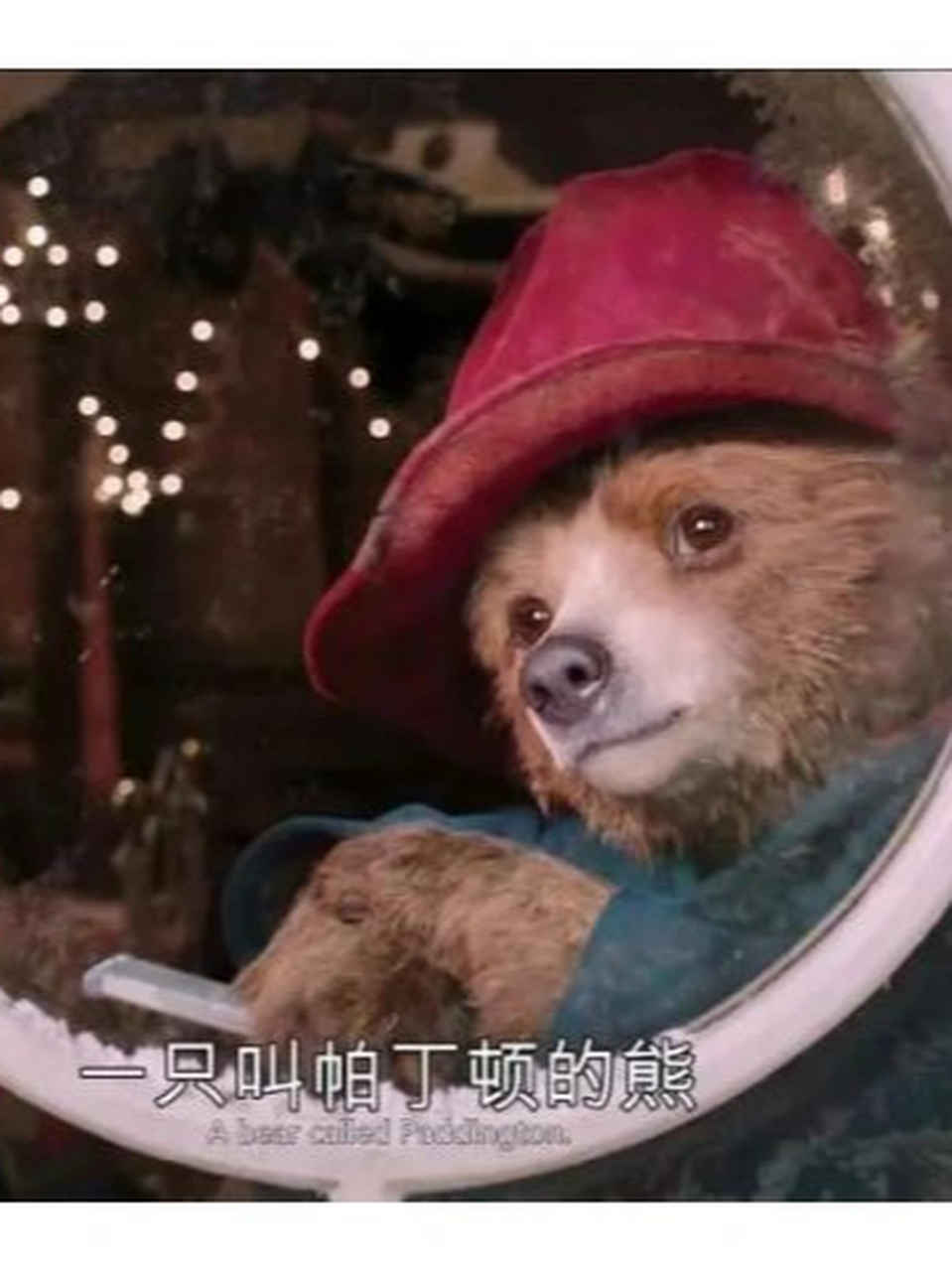 初看《帕丁顿熊》这部电影,我笑得前仰后合,眼泪都流出来了