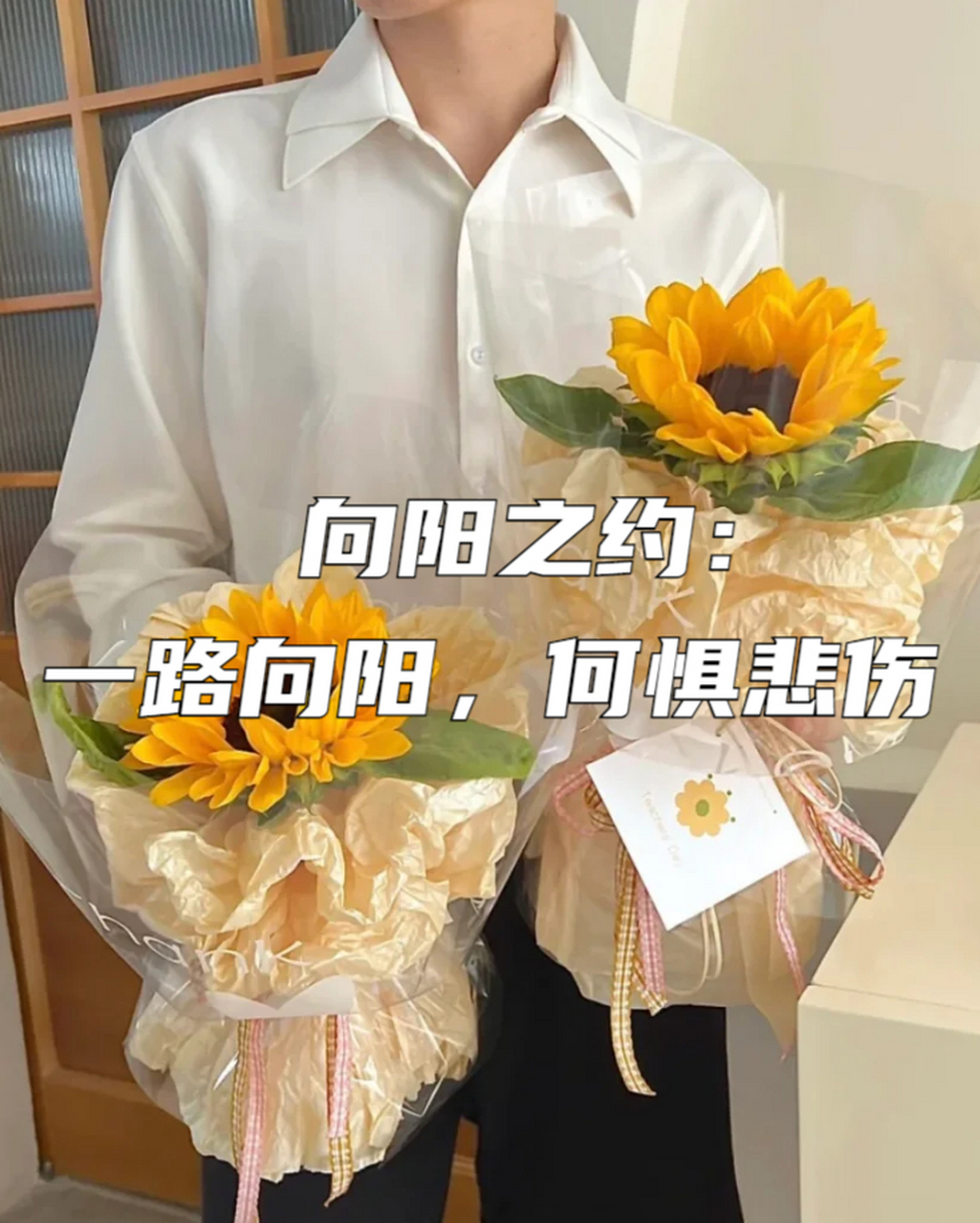 向阳之约:一路向阳,何惧悲伤 向日葵,那向着阳光,永远向前的花,象征着