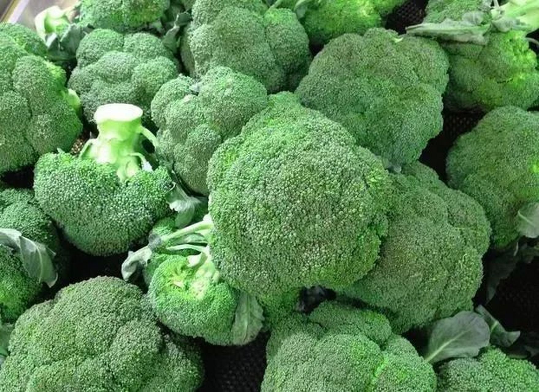 西兰花是一种富含维生素,矿物质和抗氧化物质的蔬菜,有助于增强免疫力