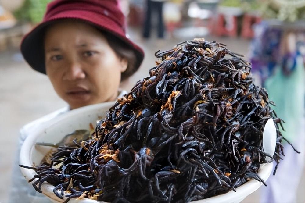 在老撾,蝌蚪等類似的田園食材並非