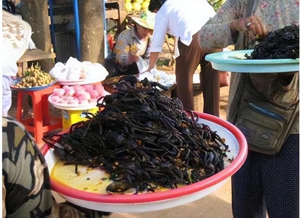 老撾奇葩美食炸蝙蝠已經夠噁心更炸裂的讓遊客想吐