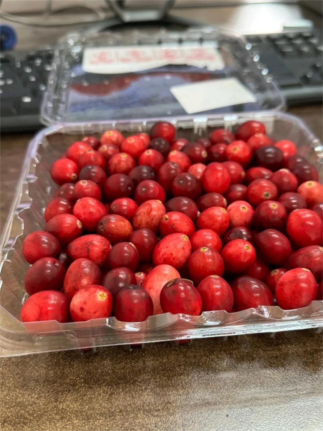 蔓越莓,常被认为是北美的特产.@秒知搞钱狗的动态