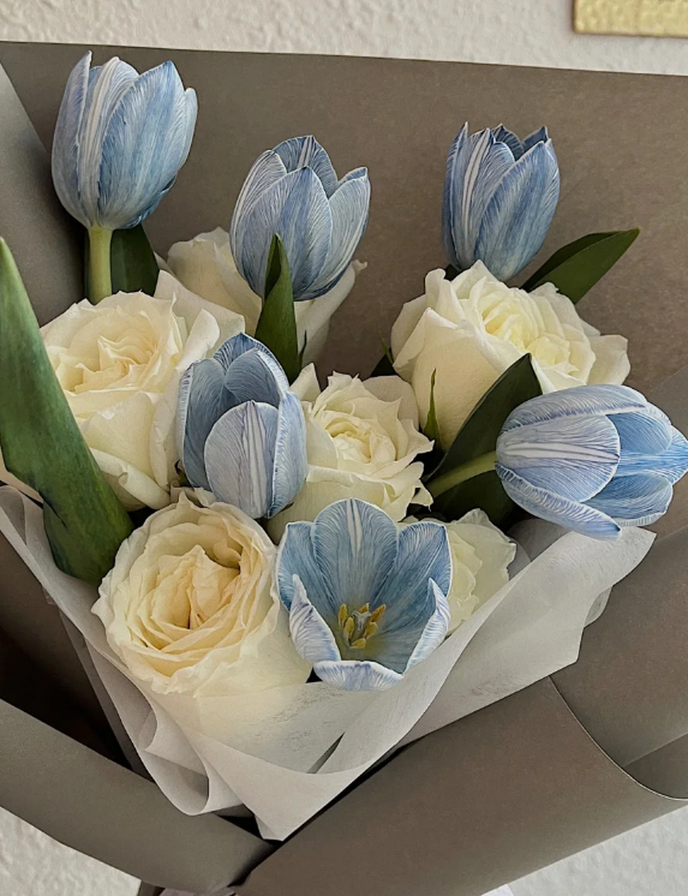 它就是吸色郁金香,那蓝白相间的色彩,如同天空与白云的浪漫邂逅,给人