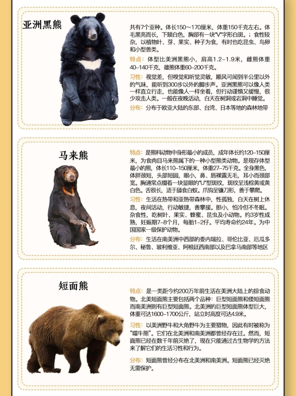 十大熊类图鉴大赏  熊:哺乳动物家族中的食肉目成员  熊,这一生物分类