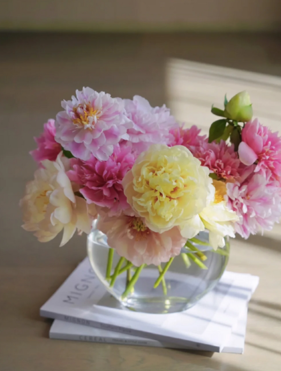 插花|一束混色的芍药花 被遗忘的那束芍药花,刚刚告别便开始思念.