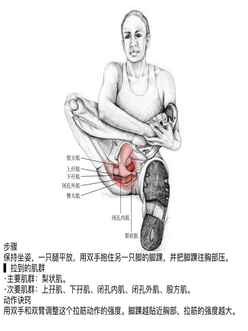 髋关节屈曲和伸展图片图片