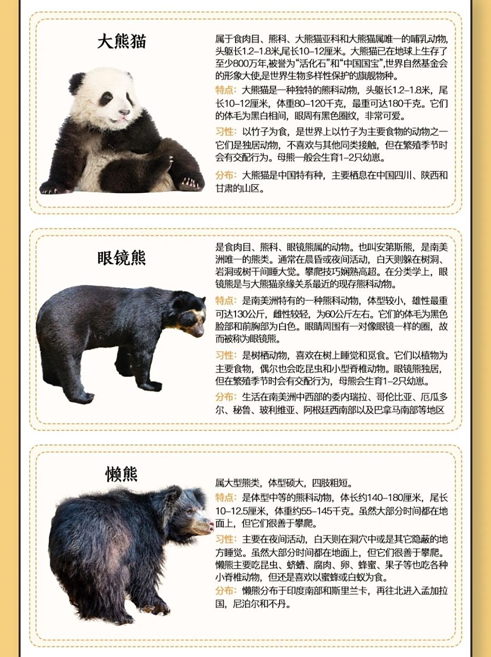 十大熊类图鉴大赏