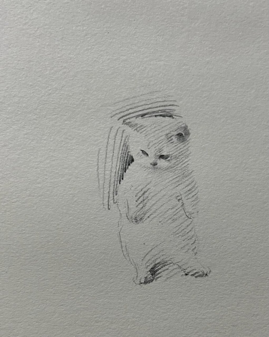 几笔小猫  首先,准备一张白纸和一支黑笔,用黑笔画出小奶猫的轮廓.