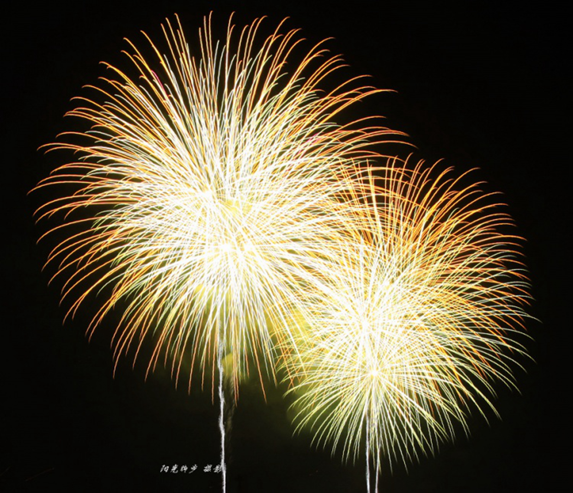 新年烟花集锦