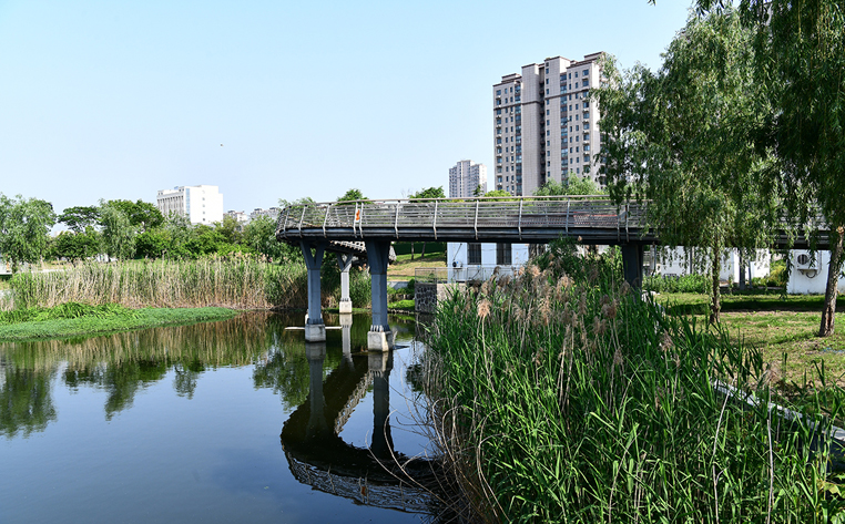 夏日,沉浸式体验宝应学超公园