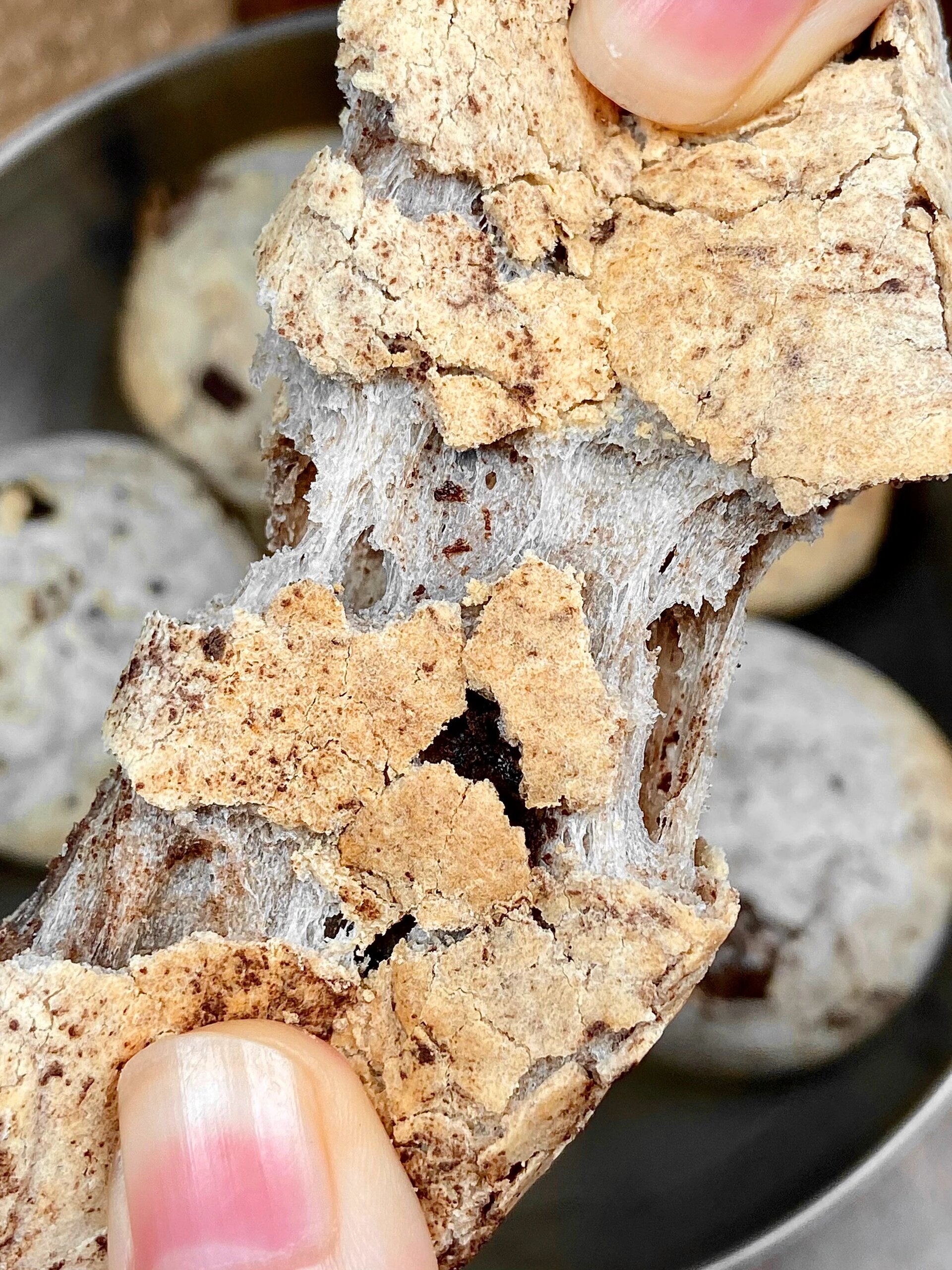 空口吃麻薯的感觉贼爽你们一定要去试试～ 	食材麻薯预拌粉牛奶